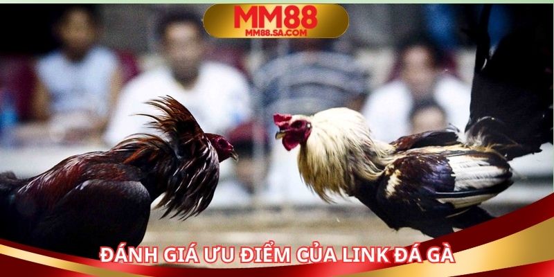 Đánh giá khách quan ưu điểm của trang đấu kê online
