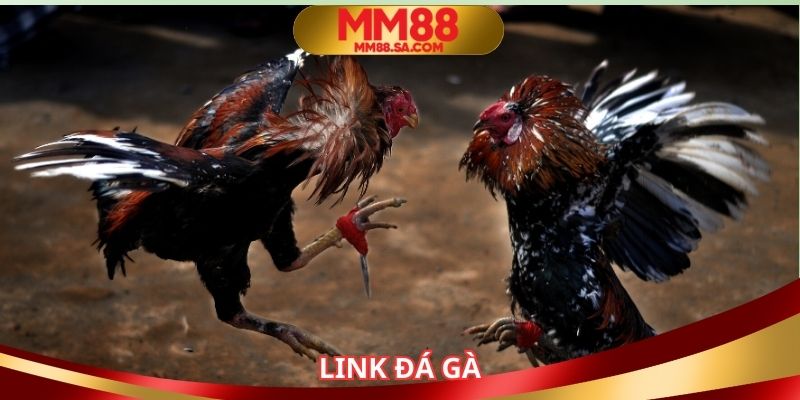 Link Đá Gà