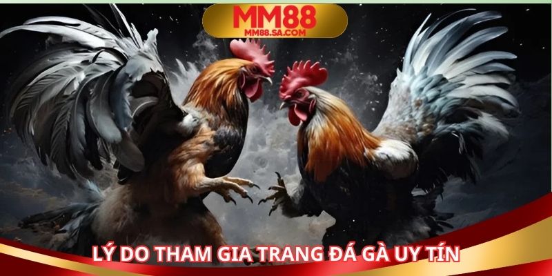 Lý do mọi người nên tham gia nhà cái đấu kê online
